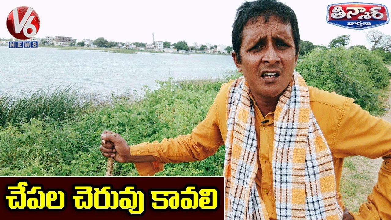 Teenmaar Sadanna Satires On TS Govt Schemes | Sheep and Fish Distribution | V6 News