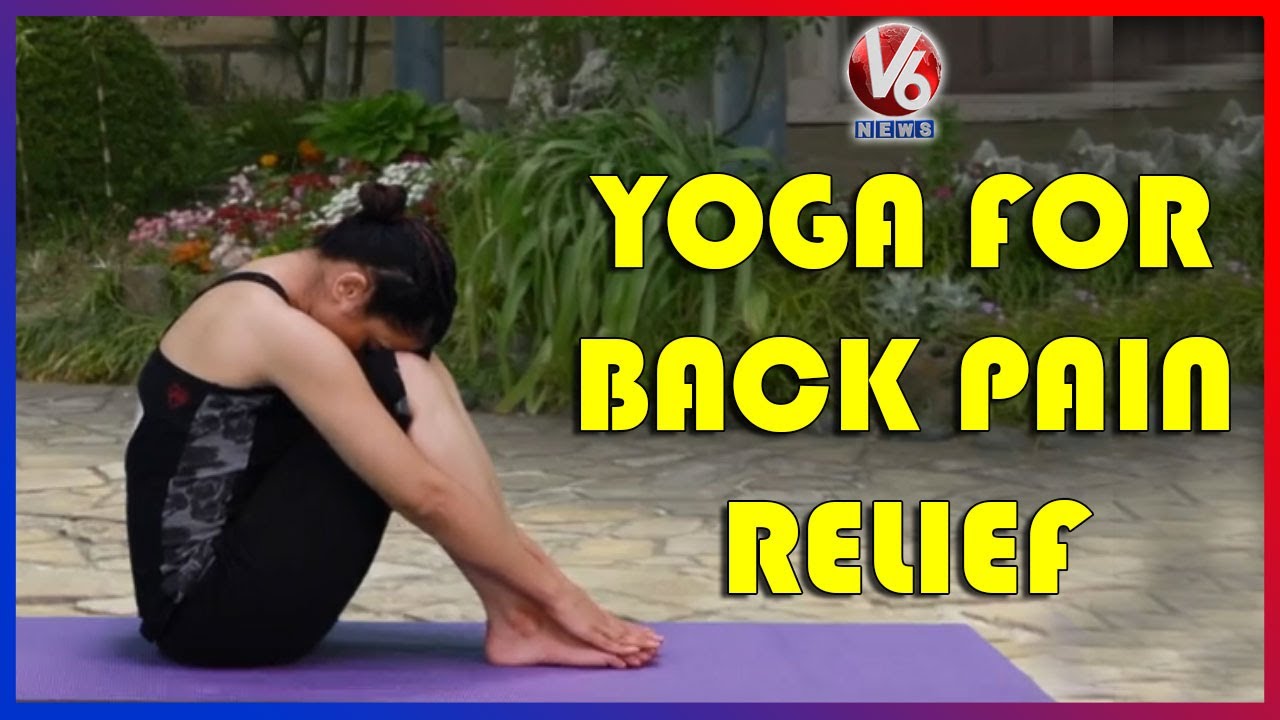 Yoga For Back Pain Relief | Yoga Basics | Yoga With Mansi Gulati