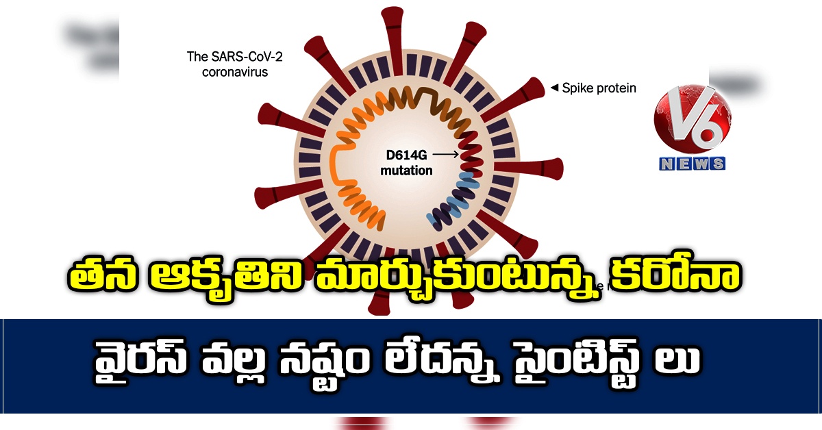 తన ఆకృతిని మార్చుకుంటున్న కరోనా : వైరస్ వల్ల నష్టం లేదన్న సైంటిస్ట్ లు
