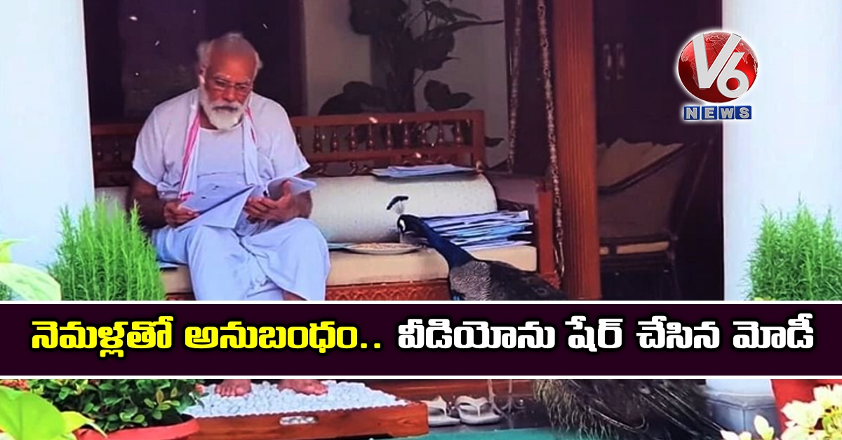 నెమళ్లతో అనుబంధం.. వీడియోను షేర్ చేసిన మోడీ