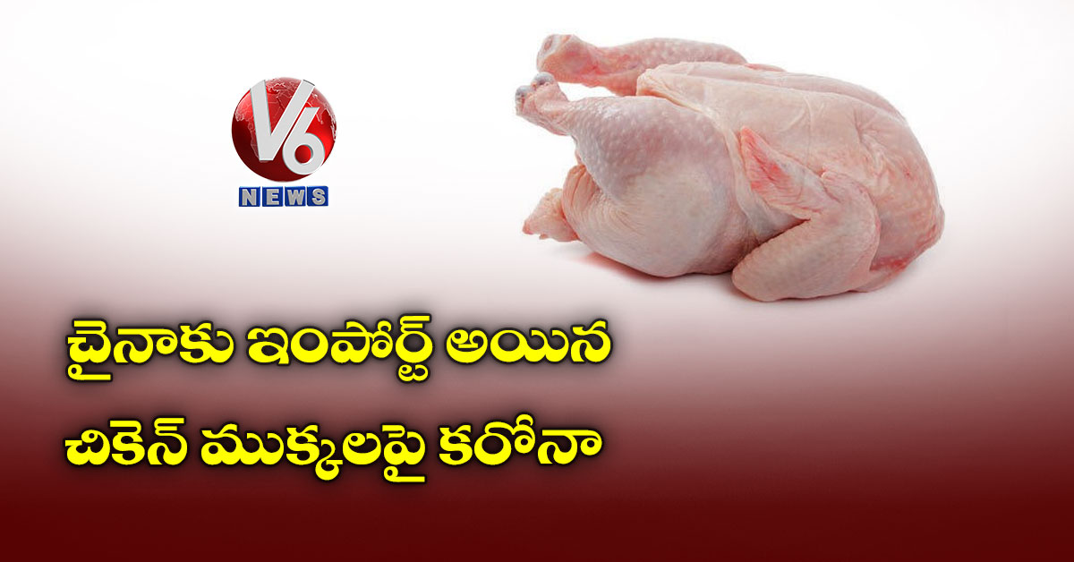 చైనాకు ఇంపోర్ట్ అయిన చికెన్ ముక్కలపై కరోనా