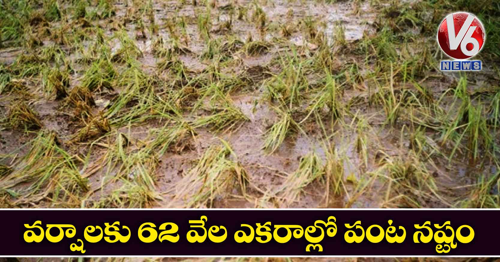 వర్షాలకు 62 వేల ఎకరాల్లో పంట నష్టం