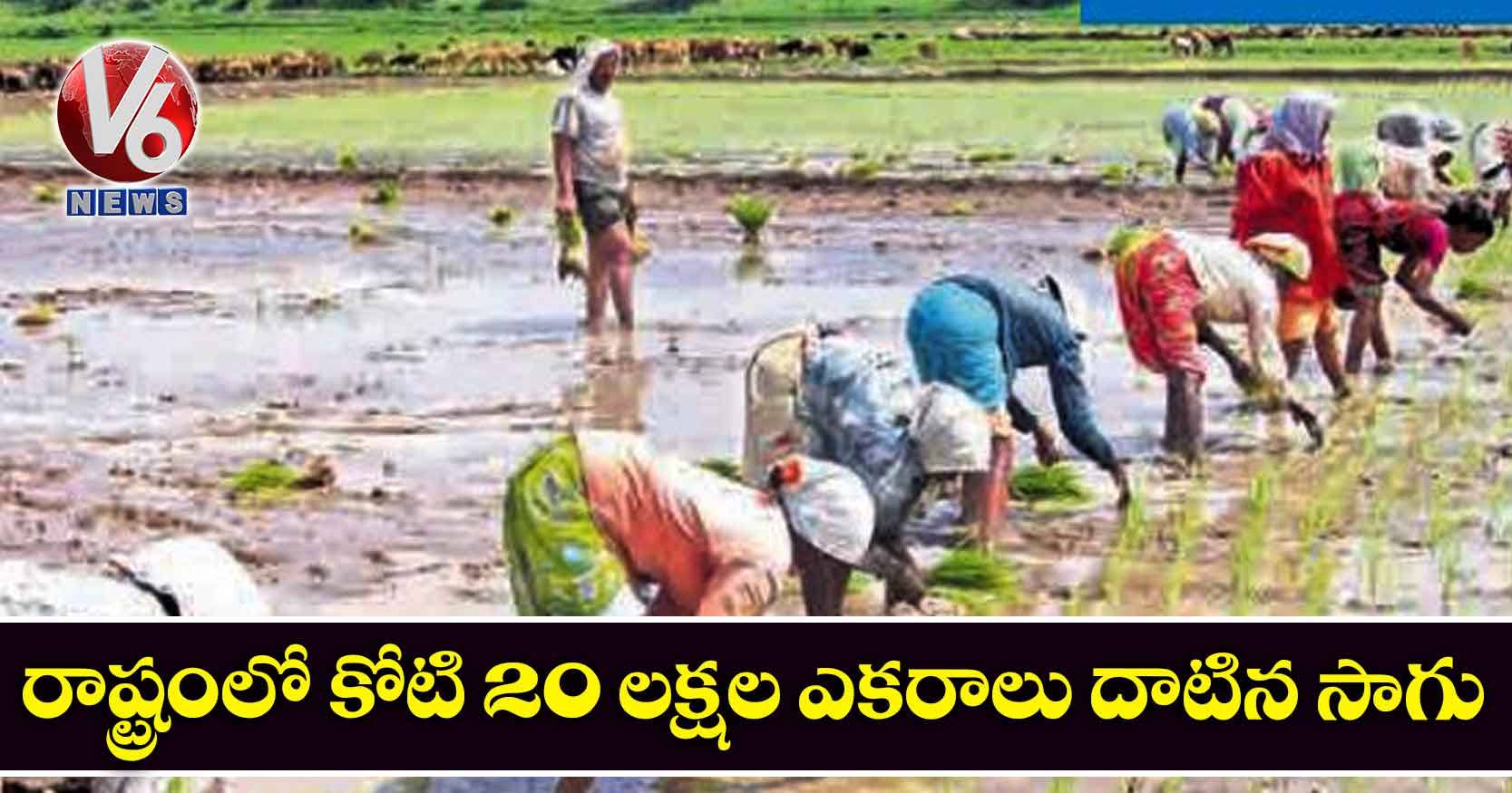 రాష్ట్రంలో కోటి 20 లక్షల ఎకరాలు దాటిన సాగు