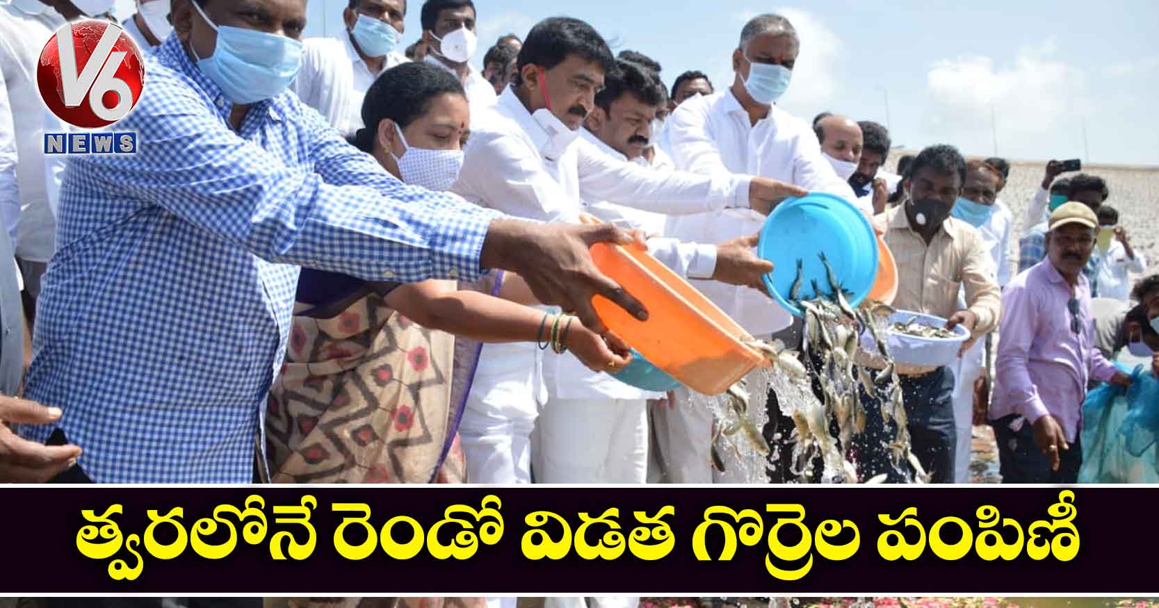 త్వరలోనే రెండో విడత గొర్రెల పంపిణీ