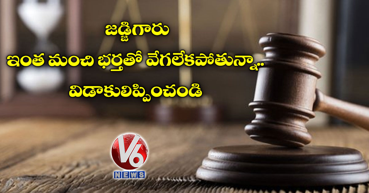 జడ్జిగారు ఇంత మంచి భ‌ర్త‌తో వేగ‌లేక‌పోతున్నా..విడాకులిప్పించండి