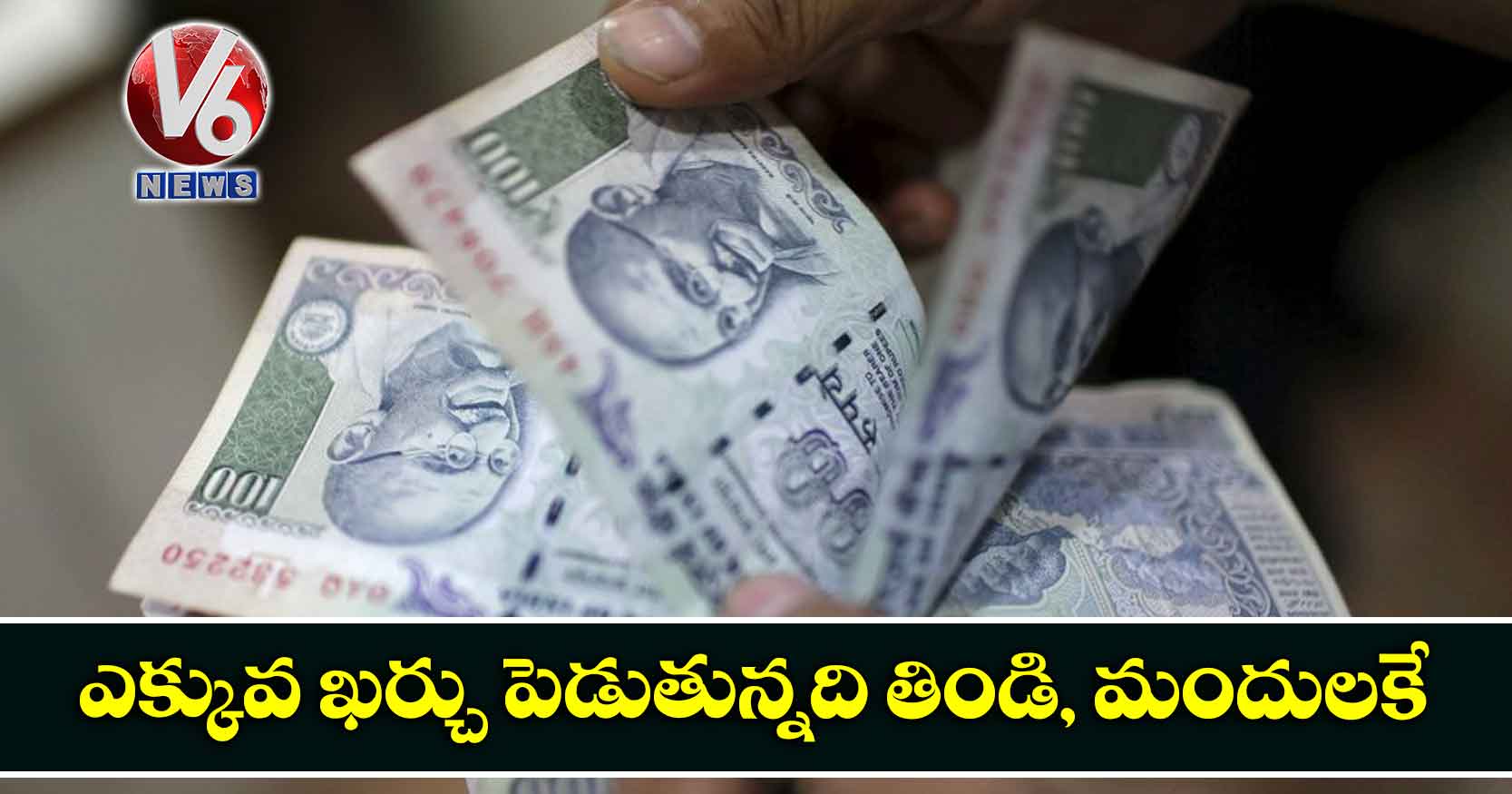 ఎక్కువ ఖర్చు పెడుతున్నది తిండి, మందులకే