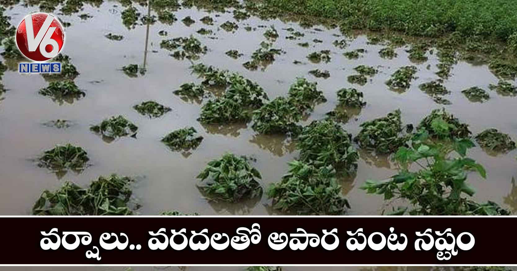 వర్షాలు.. వరదలతో అపార పంట నష్టం