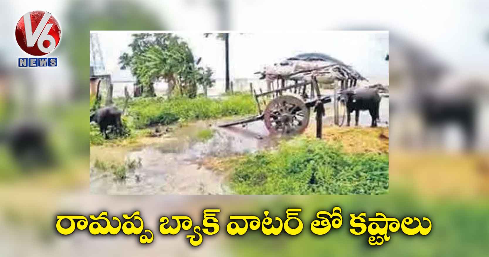 రామప్ప బ్యాక్ వాటర్ తో కష్టాలు