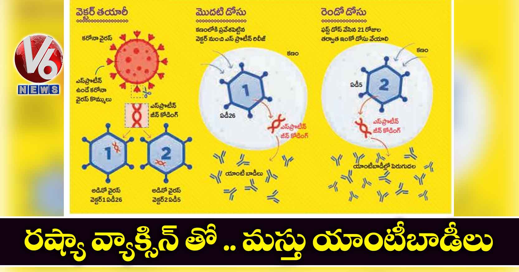 రష్యా వ్యాక్సిన్ తో .. మస్తు యాంటీబాడీలు