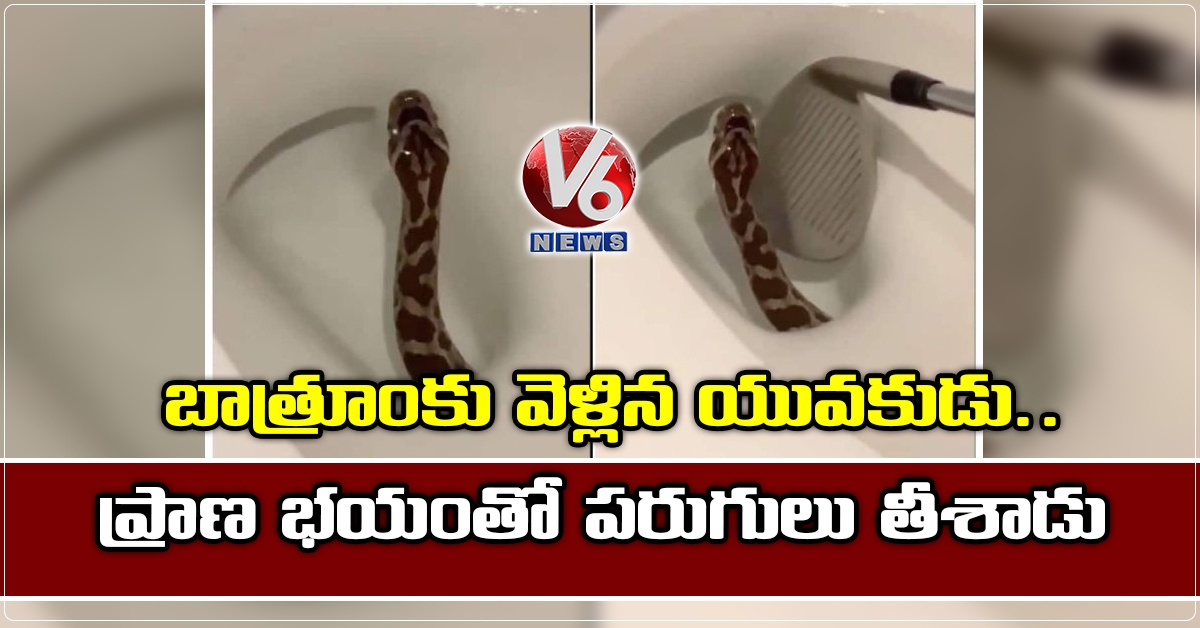 బాత్రూంకు వెళ్లిన యువకుడు.. ప్రాణ భయంతో పరుగులు తీశాడు