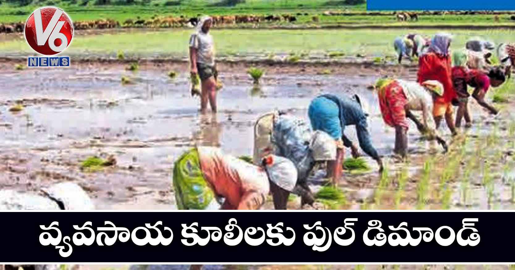 వ్యవసాయ కూలీలకు ఫుల్ డిమాండ్