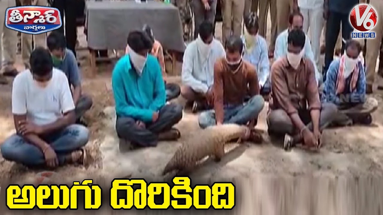 Alugu Animal Found Archives - V6 Velugu - Telugu Latest Breaking News, Live  News Updates