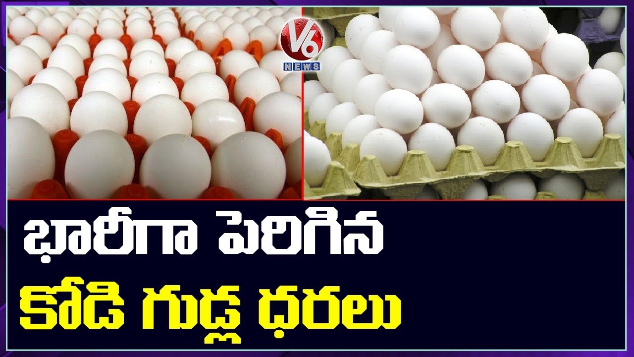 Egg Rates Hiked Due To Increase In Demand