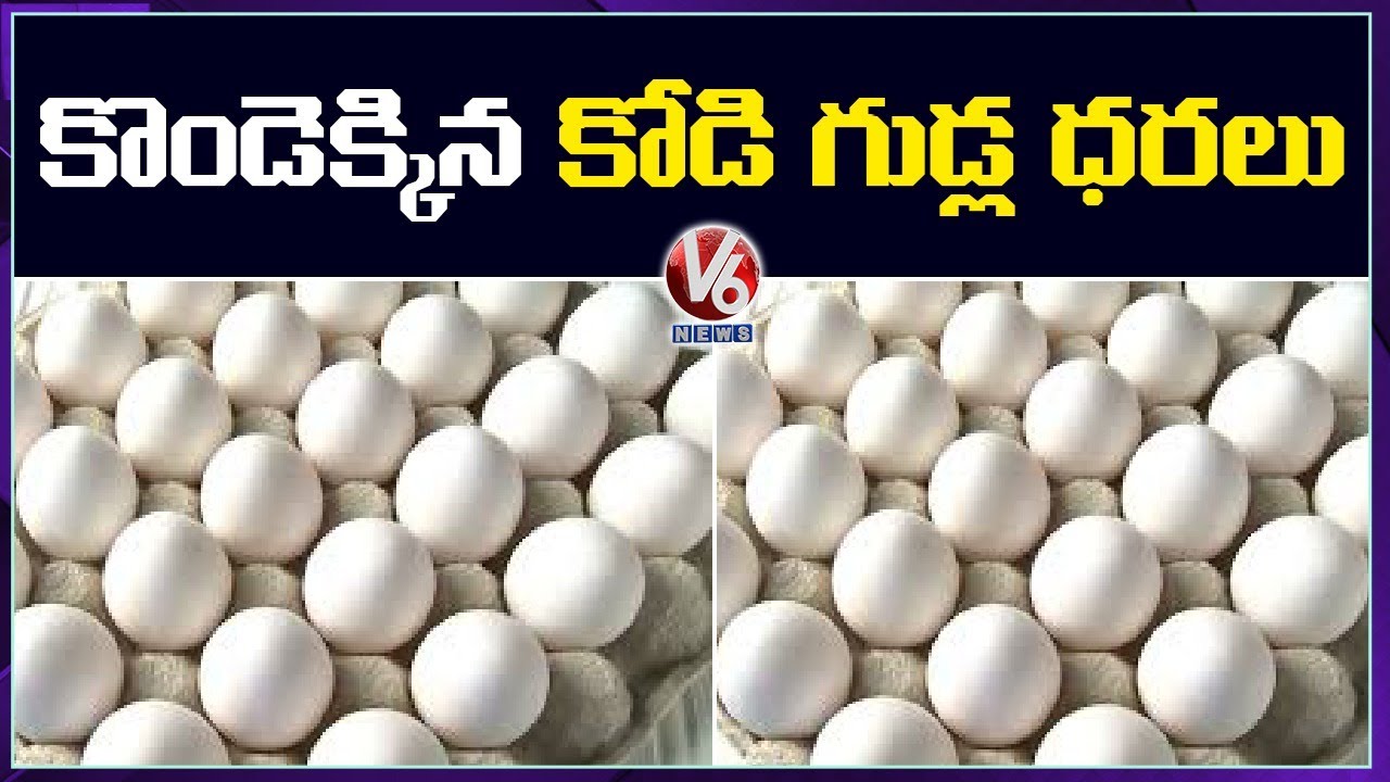 Egg Prices Hit All Time High | Egg @ Rs.6/- | V6 News