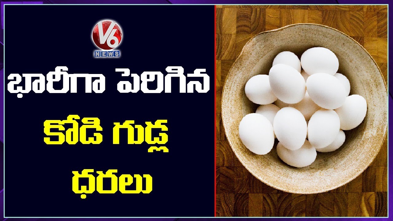 Record Hike In Egg Prices In Telangana | V6 News