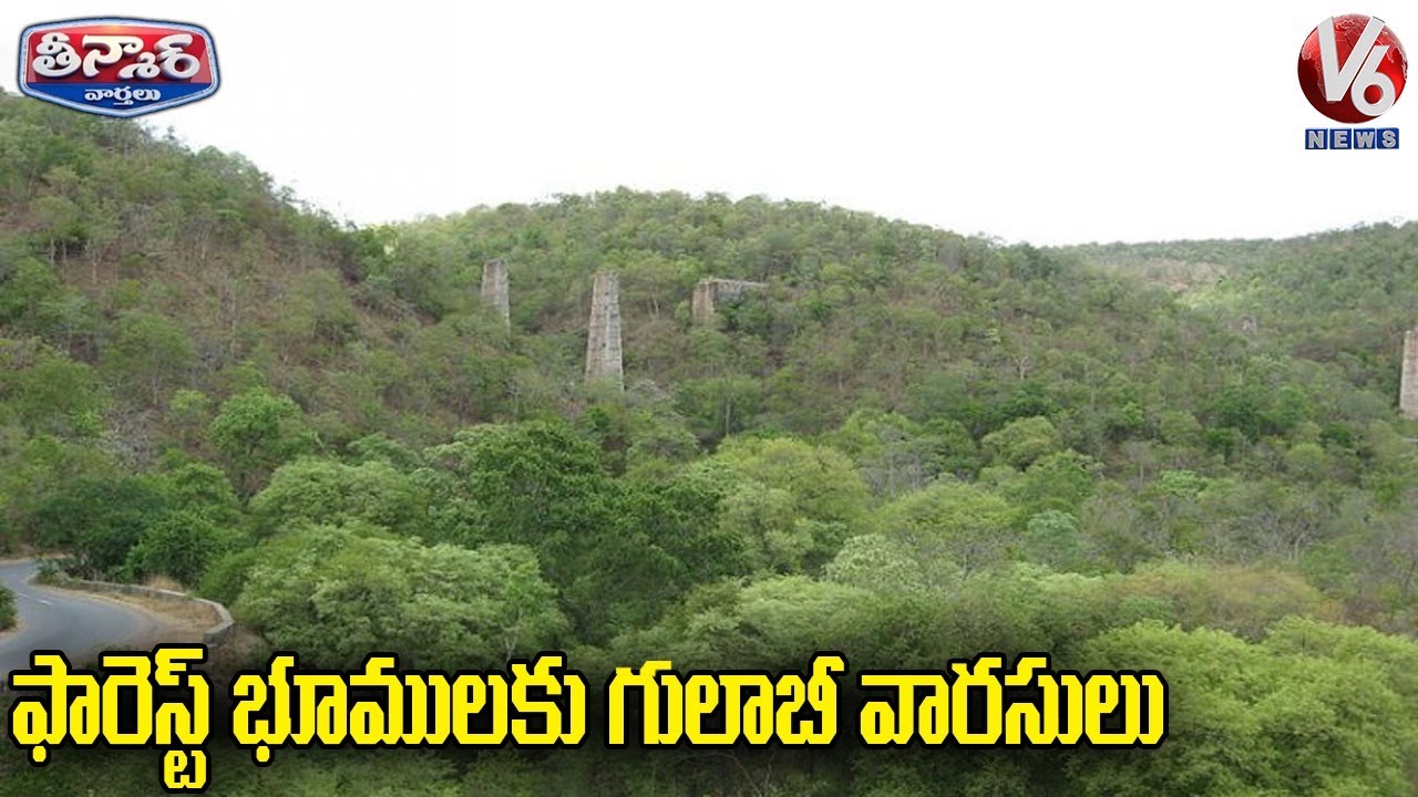 TRS MLA Followers Get Land Documents For Forest Lands | V6 Teenmaar News