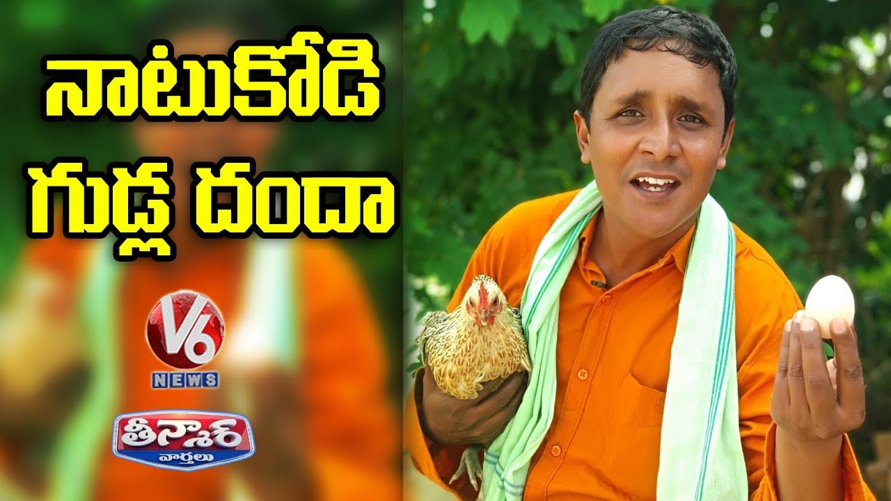 Teenmaar Sadanna Natu Kodi Eggs Business | Funny Conversation With Radha | V6 News