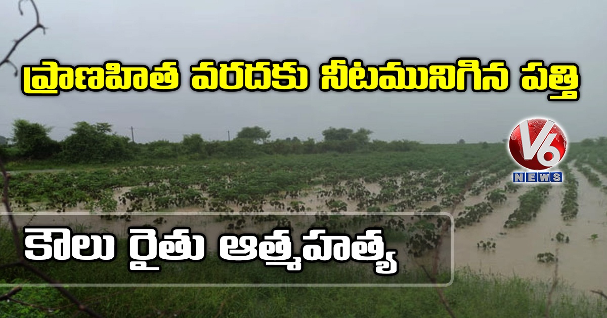 ప్రాణహిత వరదకు నీటమునిగిన పత్తి: కౌలు రైతు ఆత్మహత్య