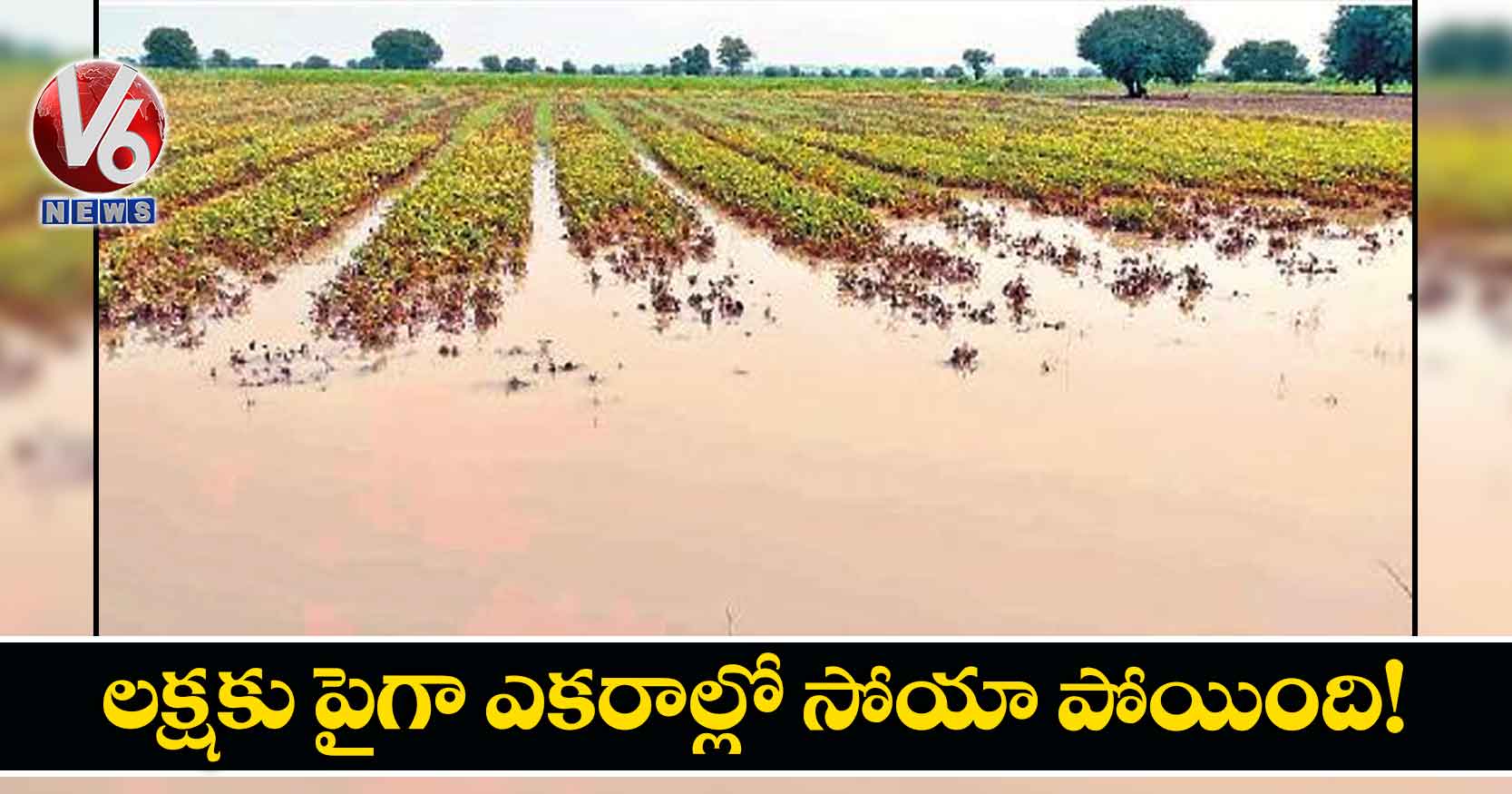 లక్షకు పైగా ఎకరాల్లో సోయా పోయింది!