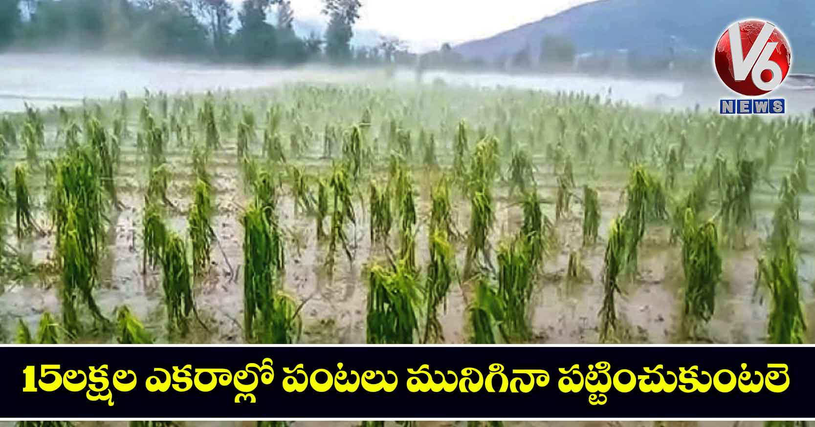 15 లక్షల ఎకరాల్లో పంటలు మునిగినా పట్టించుకుంటలె