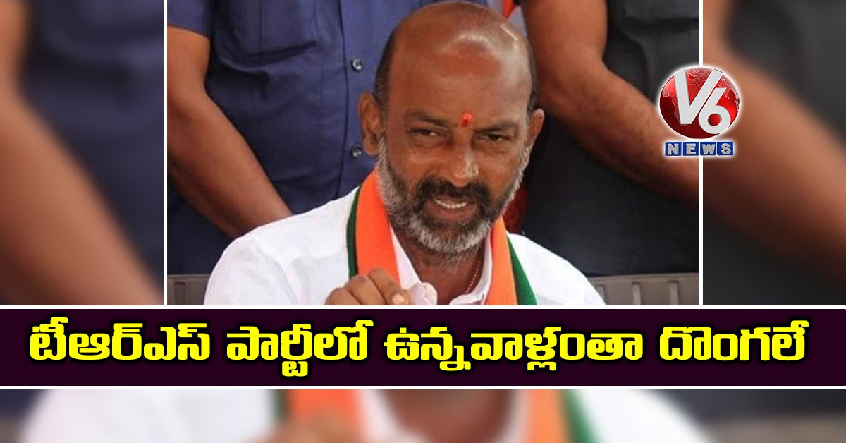 టీఆర్ఎస్ పార్టీలో ఉన్నవాళ్లంతా దొంగలే