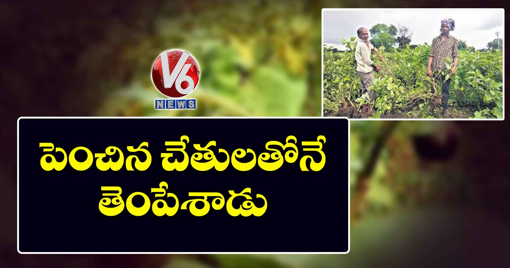 పెంచిన చేతులతోనే తెంపేశాడు..