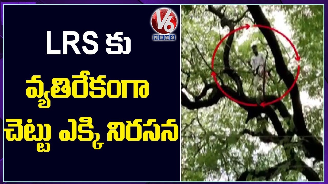 Man Climbs Tree To Protest Against TS Govt On LRS | V6 News