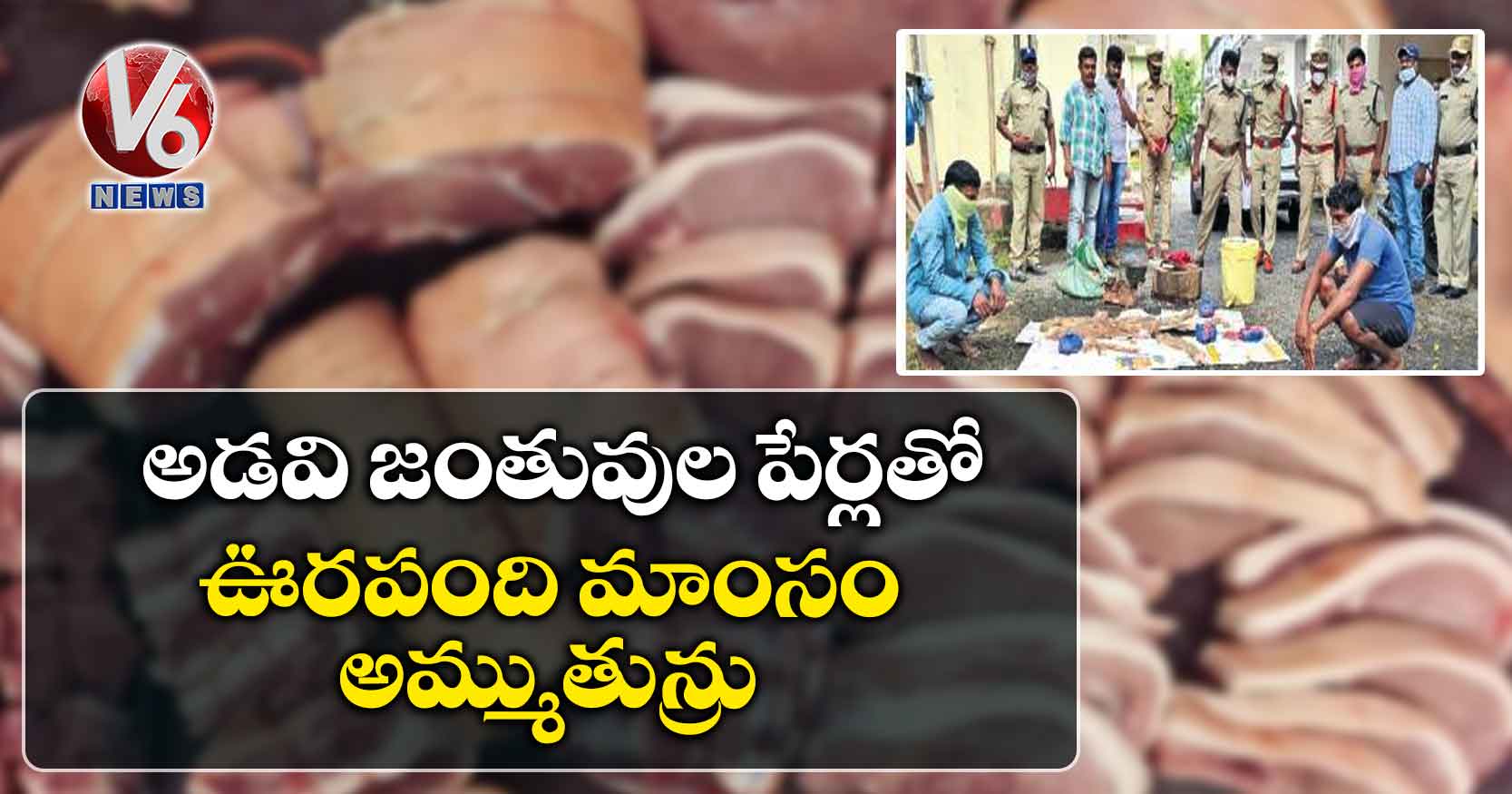 అడవి జంతువుల పేర్లతో.. ఊరపంది మాంసం అమ్ముతున్రు