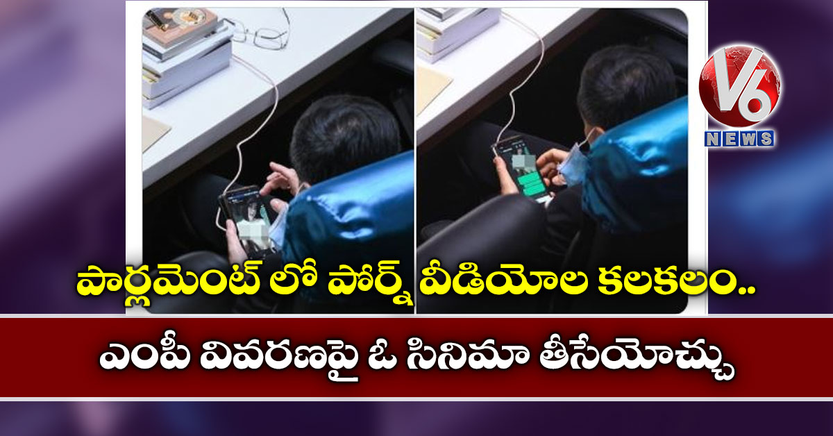 పార్లమెంట్ లో పోర్న్ వీడియోల కలకలం : ఎంపీ వివరణపై ఓ సినిమా తీసేయోచ్చు