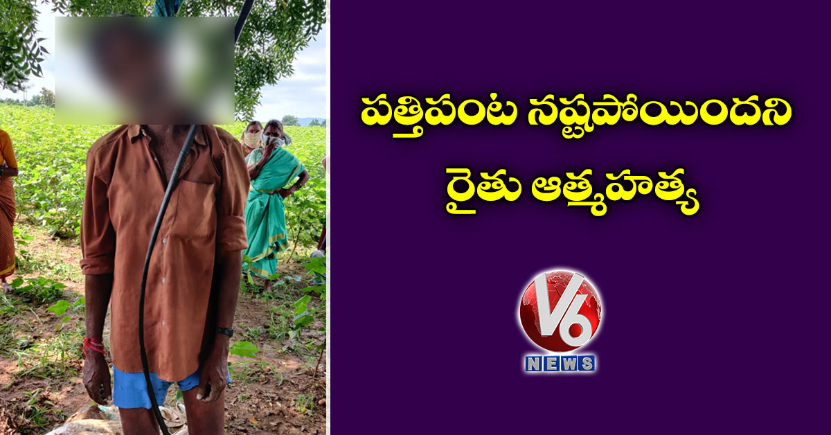 పత్తిపంట నష్టపోయిందని రైతు ఆత్మహత్య