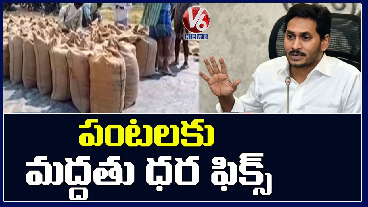 AP CM YS Jagan Announce MSP To Farmers For All Crops | V6 News