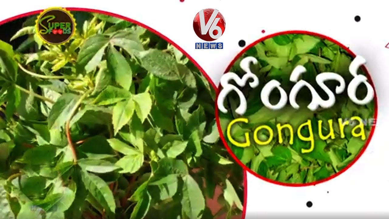 Amazing Health Benifits of Gongura | Sour Spinach | Super Foods | V6 News
