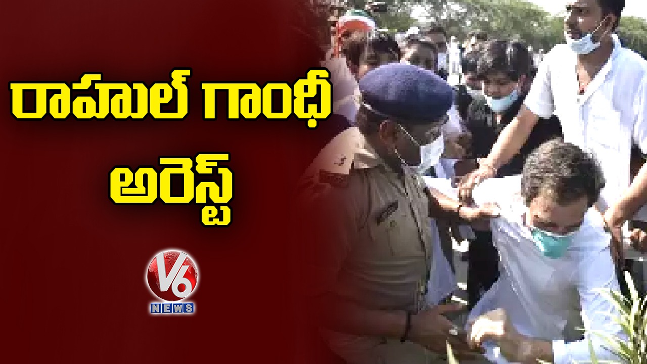 Rahul Gandhi Arrested By UP Police On Way To Hathras | V6 News