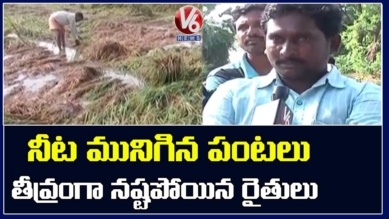 Farmers Incur Huge Loss Due To Heavy Rains in Telangana | V6 News