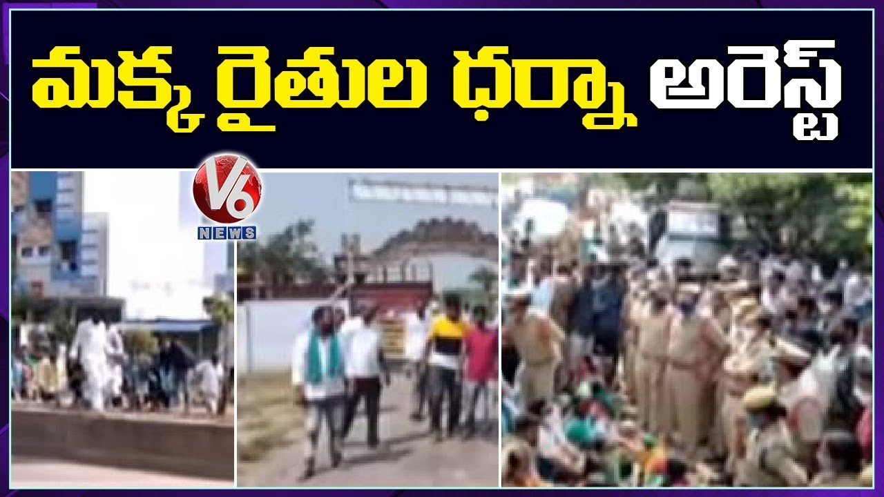 Farmers Protest At Jagtial Collectorate, Demands Support Price To Maize | V6 News