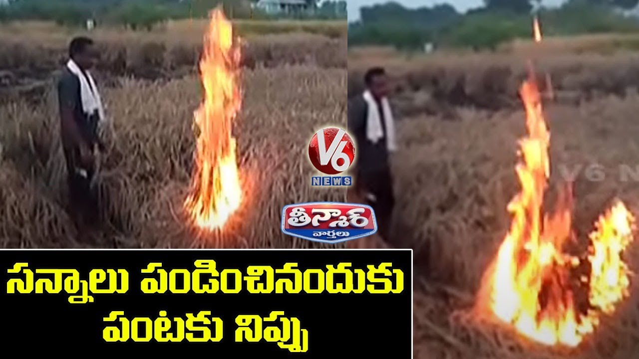 Farmers Set Fire To Crop | V6 Teenmaar News