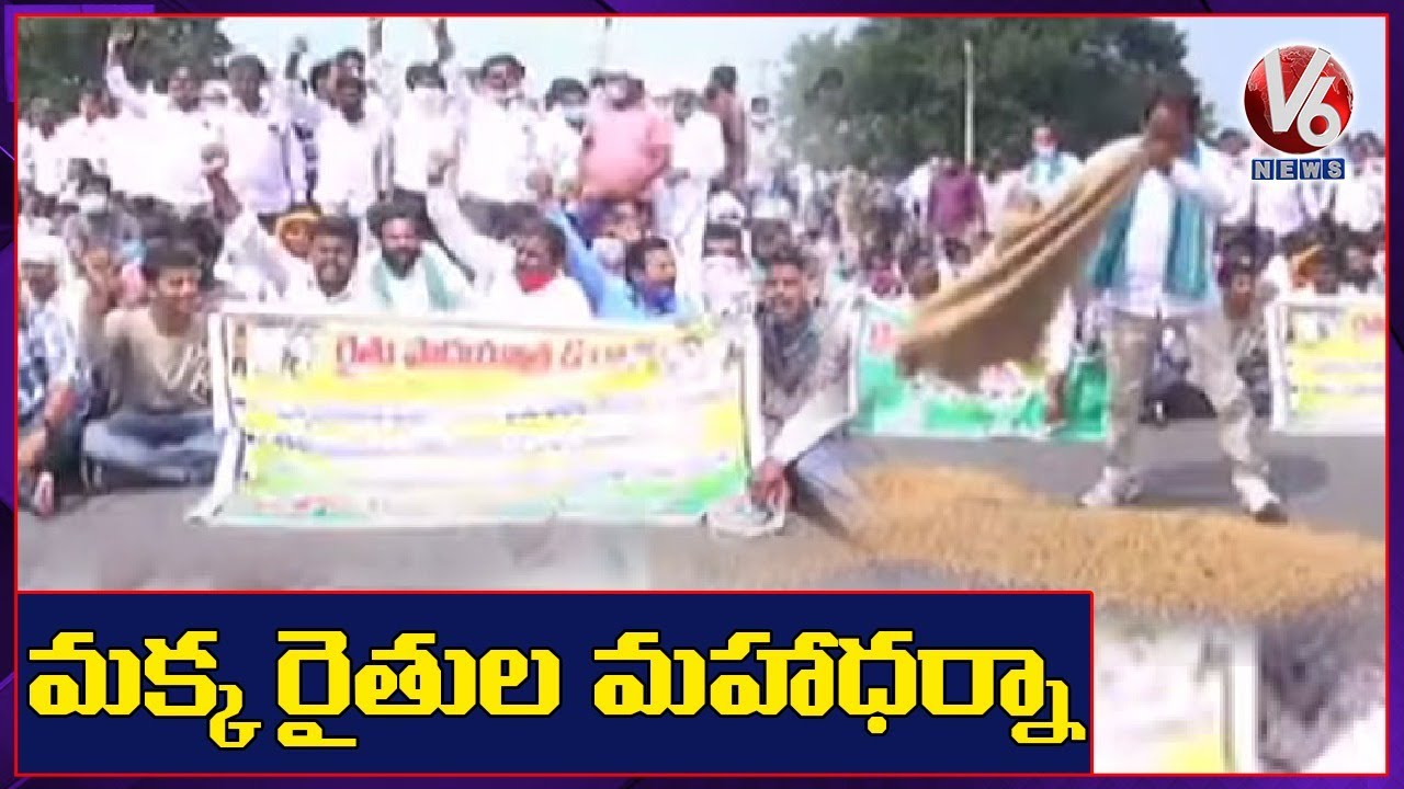 Maize Farmers Massive Protest In Kamareddy District | V6 News