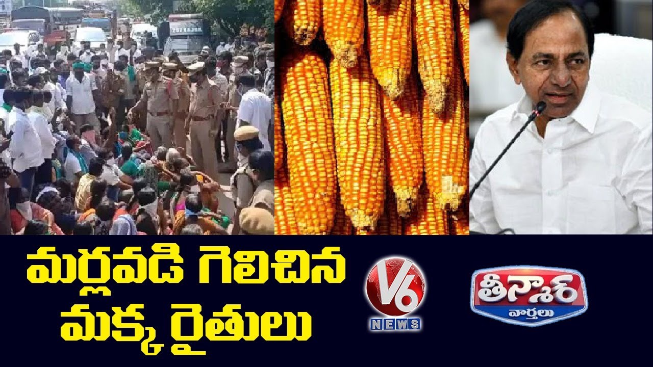 Maize farmers protest in Telangana, KCR fixes crop’s MSP at Rs 1,850 per quintal | V6 Teenmaar News