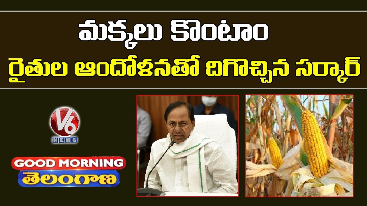 Special Discussion Over CM KCR On Maize MSP | V6 Good Morning Telangana