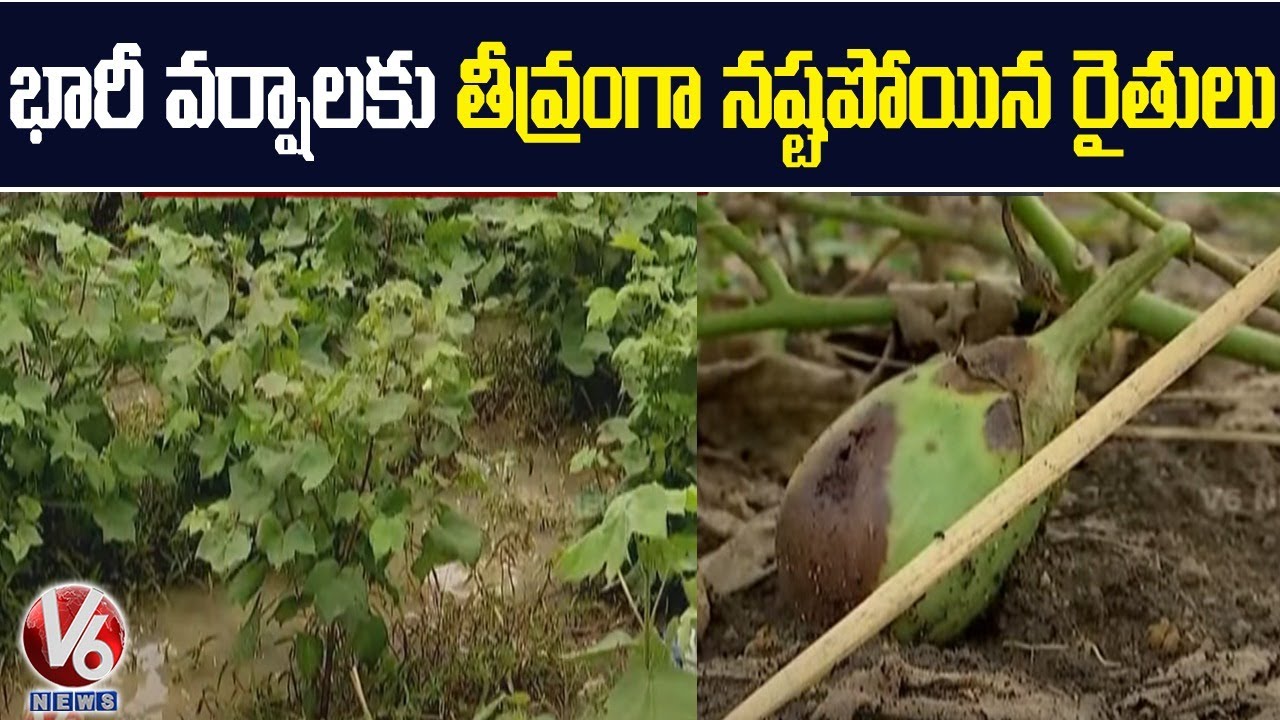 Vegetable prices Soars as heavy rain hits standing crops | V6 News