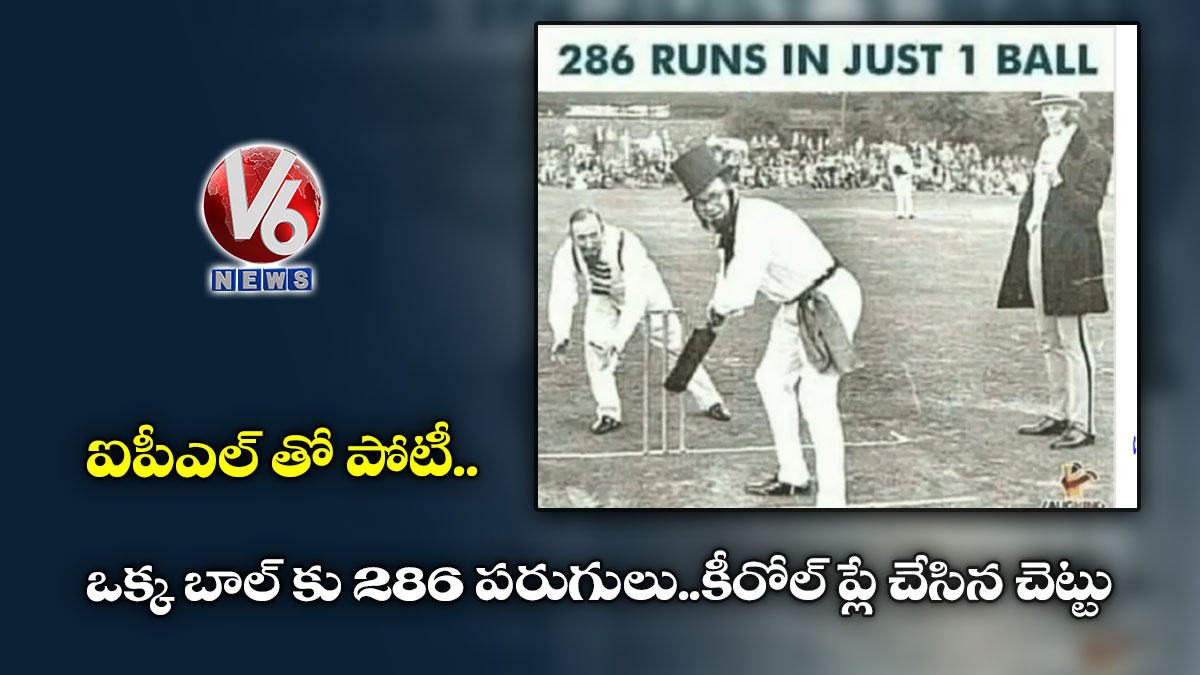 ఐపీఎల్ తో పోటీ : ఒక్క బాల్ కు 286 పరుగులు..కీరోల్ ప్లే చేసిన చెట్టు