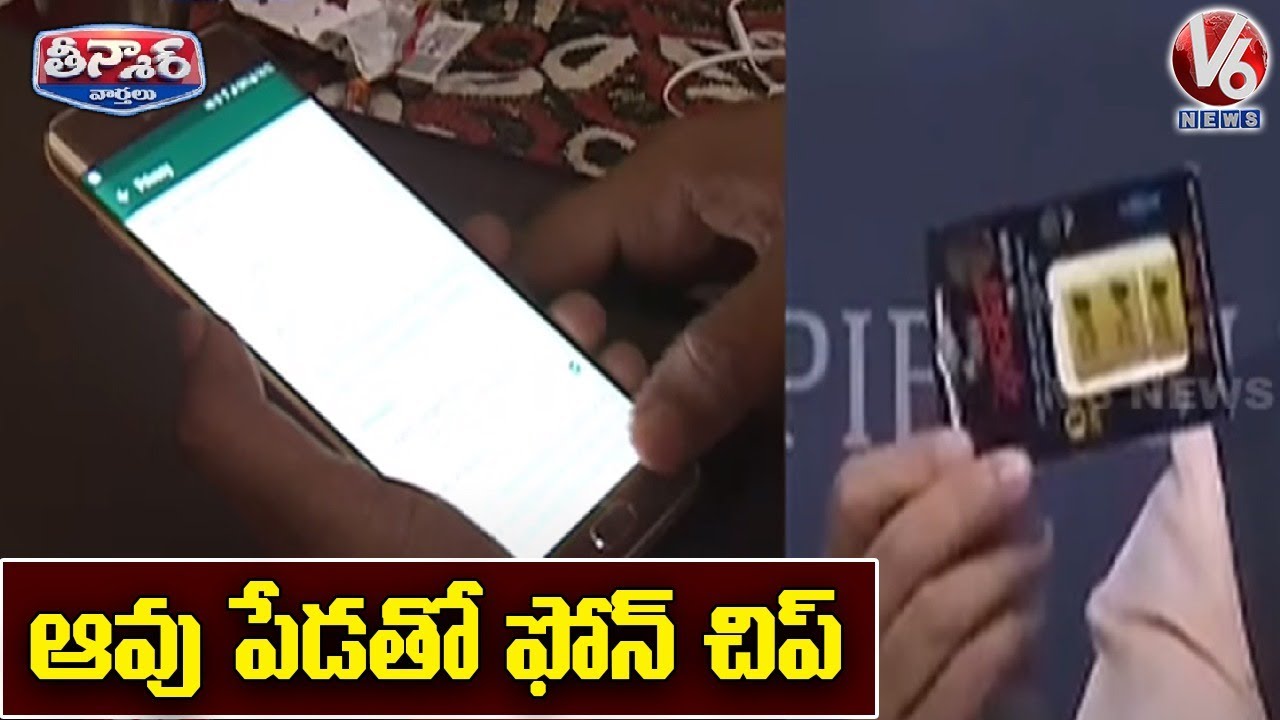 Chip Made of Cow Dung Reduces Radiation from Mobile Phones | V6 Teenmaar News