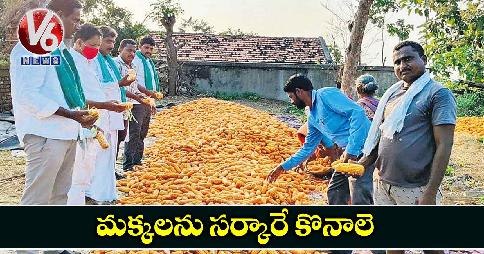 మక్కలను సర్కారే కొనాలె
