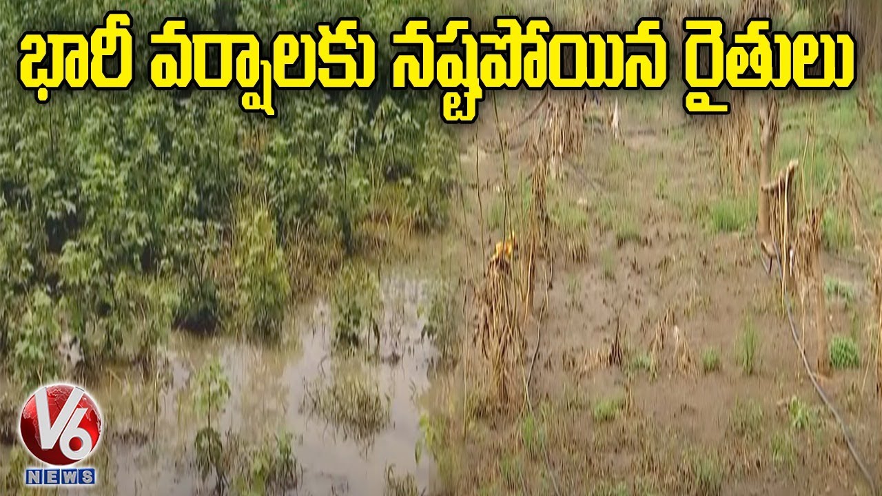 Crop in 24 Lakh acres damaged due to rains in Telangana | V6 News