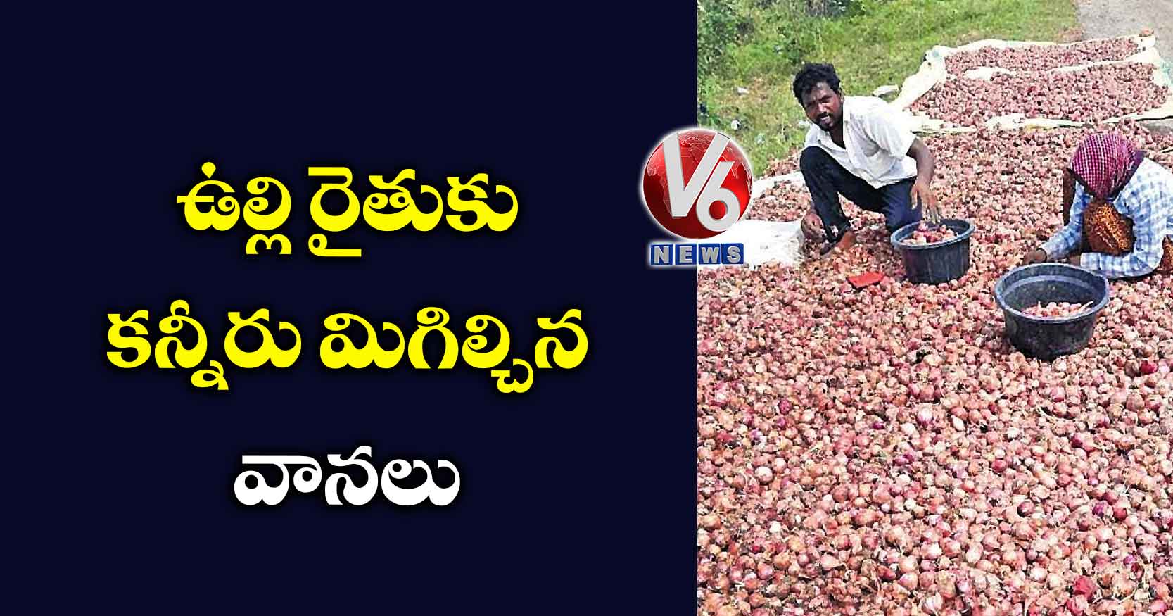 ఉల్లి రైతుకు కన్నీరు మిగిల్చిన వానలు