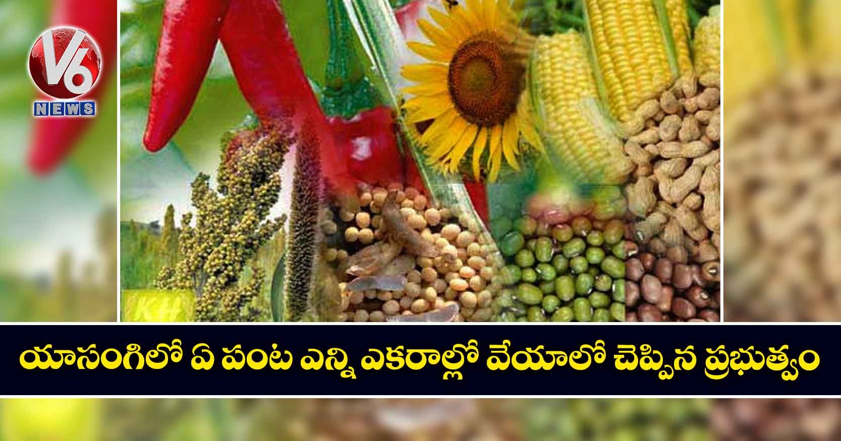 యాసంగిలో ఏ పంట ఎన్ని ఎకరాల్లో వేయాలో చెప్పిన ప్రభుత్వం