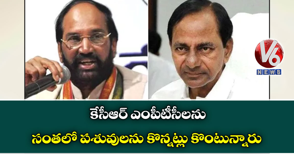 కేసీఆర్ ఎంపీటీసీలను సంతలో పశువులను కొన్నట్లు కొంటున్నారు