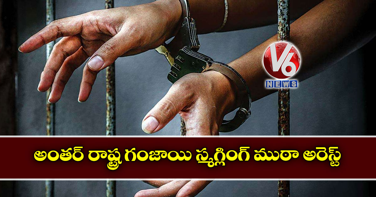 అంతర్ రాష్ట్ర గంజాయి స్మగ్లింగ్ ముఠా అరెస్ట్