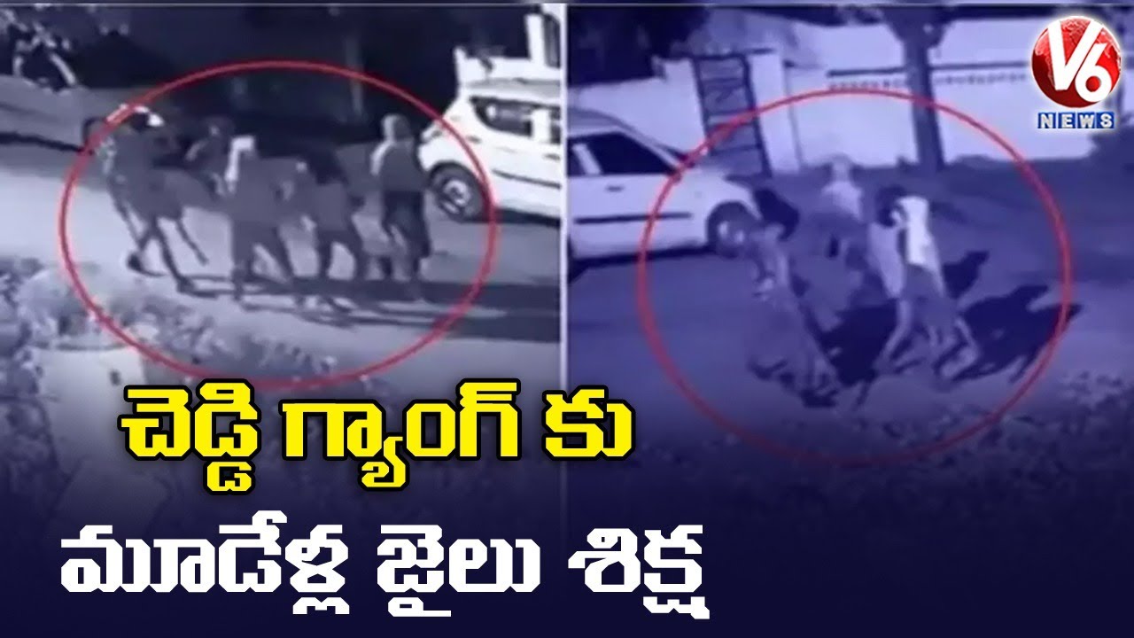 Cheddi Gang Convicts Sentenced To 3 Years In Prison | V6 News