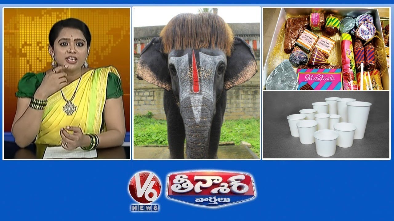 Elephant Bob-Cut Hairstyle | Crackers Shaped Chocolates | Paper Cups Harmful | V6 Weekend Teenmaar